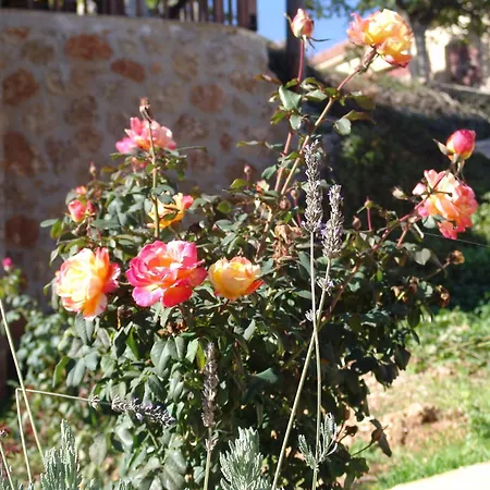 Trikalon Muses Art Suites 4* Synikia Mesi Trikalon