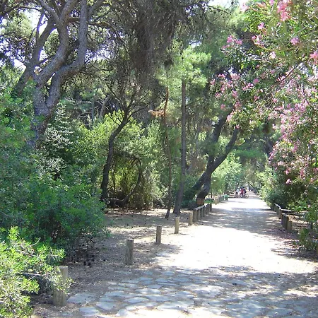 Trikalon Muses Art Suites Guest house Synikia Mesi Trikalon