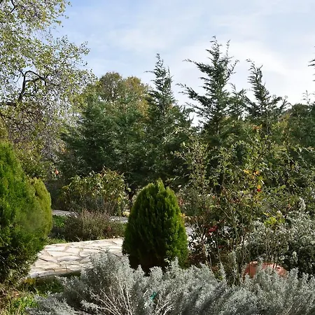 Vendégház Trikalon Muses Art