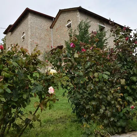 Trikalon Muses Art Suites