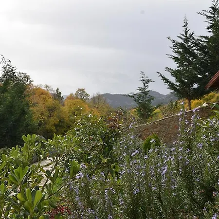 Trikalon Muses Art Suites 4* Synikia Mesi Trikalon