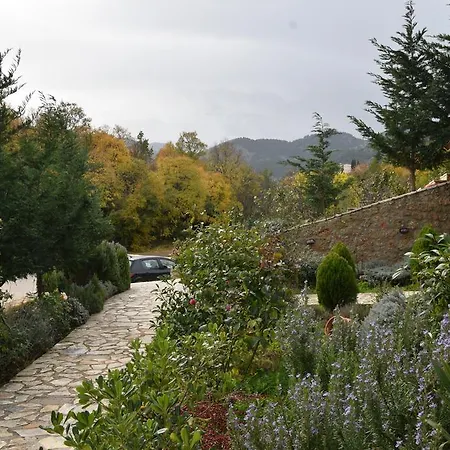 Trikalon Muses Art Suites Gasthof Synikia Mesi Trikalon