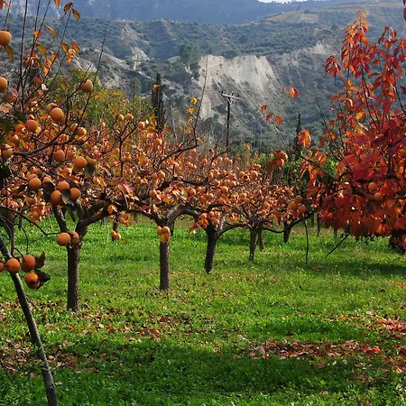 Gasthof Trikalon Muses Art Suites 4*