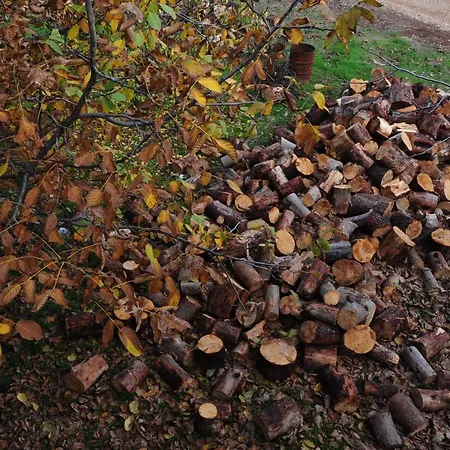 Trikalon Muses Art Suites