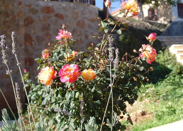 Trikalon Muses Art 4* Synikia Mesi Trikalon