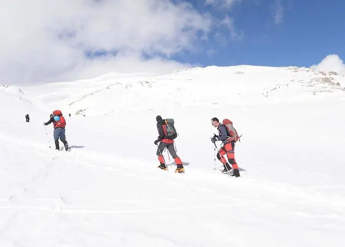 Penzion Trikalon Muses Art Synikia Mesi Trikalon