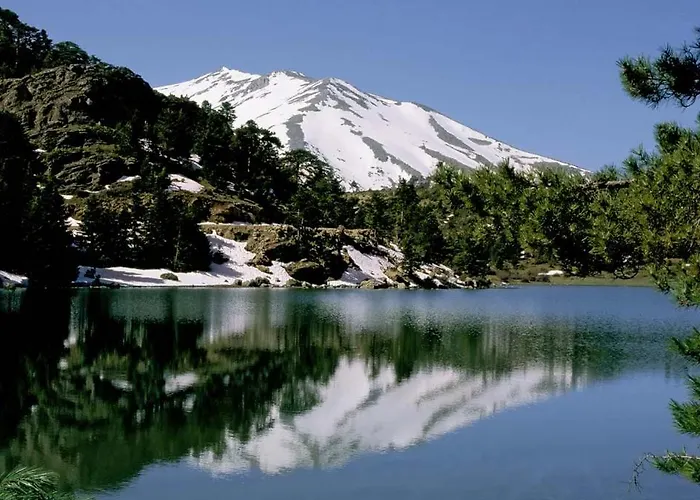 Penzion Trikalon Muses Art