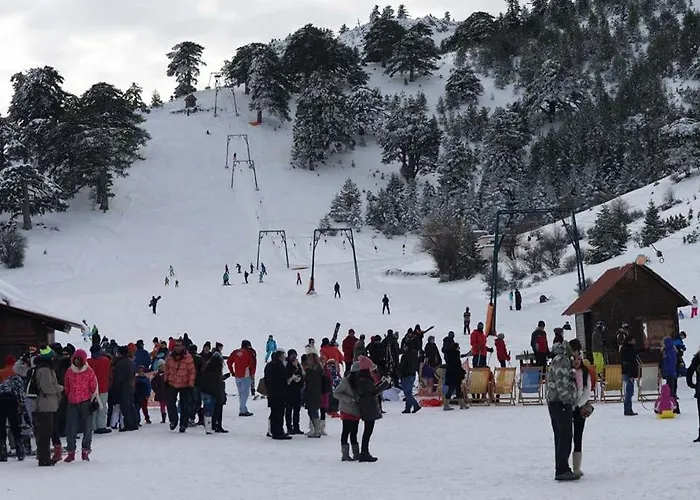 Trikalon Muses Art Penzion Synikia Mesi Trikalon