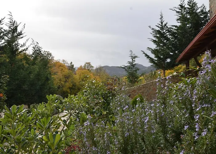 Trikalon Muses Art Suites 4* Synikia Mesi Trikalon