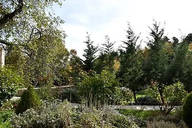 Trikalon Muses Art 4*