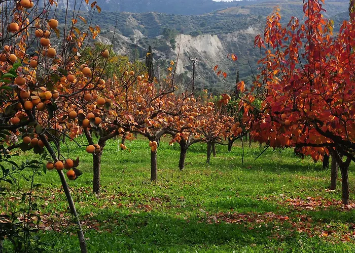 Gasthof Trikalon Muses Art Suites 4*